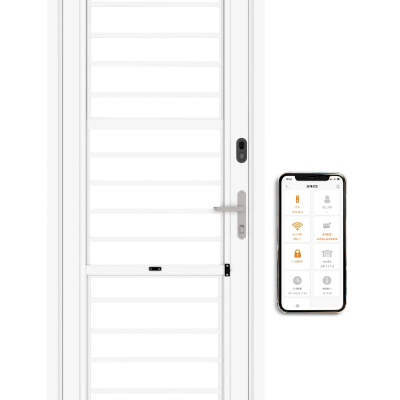 HISS Intelligent Anti-theft Door FAAC5