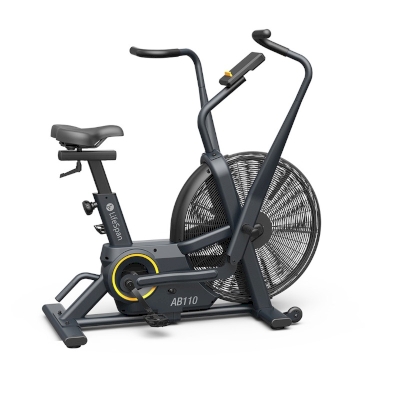 Life Span Air Bike AB110