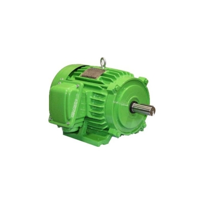 TECO IE5 Very High Efficiency Permanent Magnet Motor DVEZ