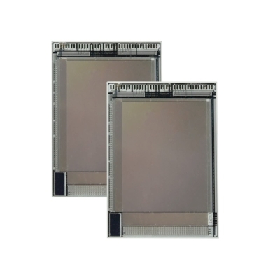 INNOLUX FAP20 Thermal Type Fingerprint Chip FAP20
