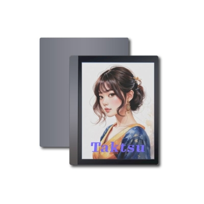 GeneTouch Taktsu 10 ChLCD  Color  eBook  Display