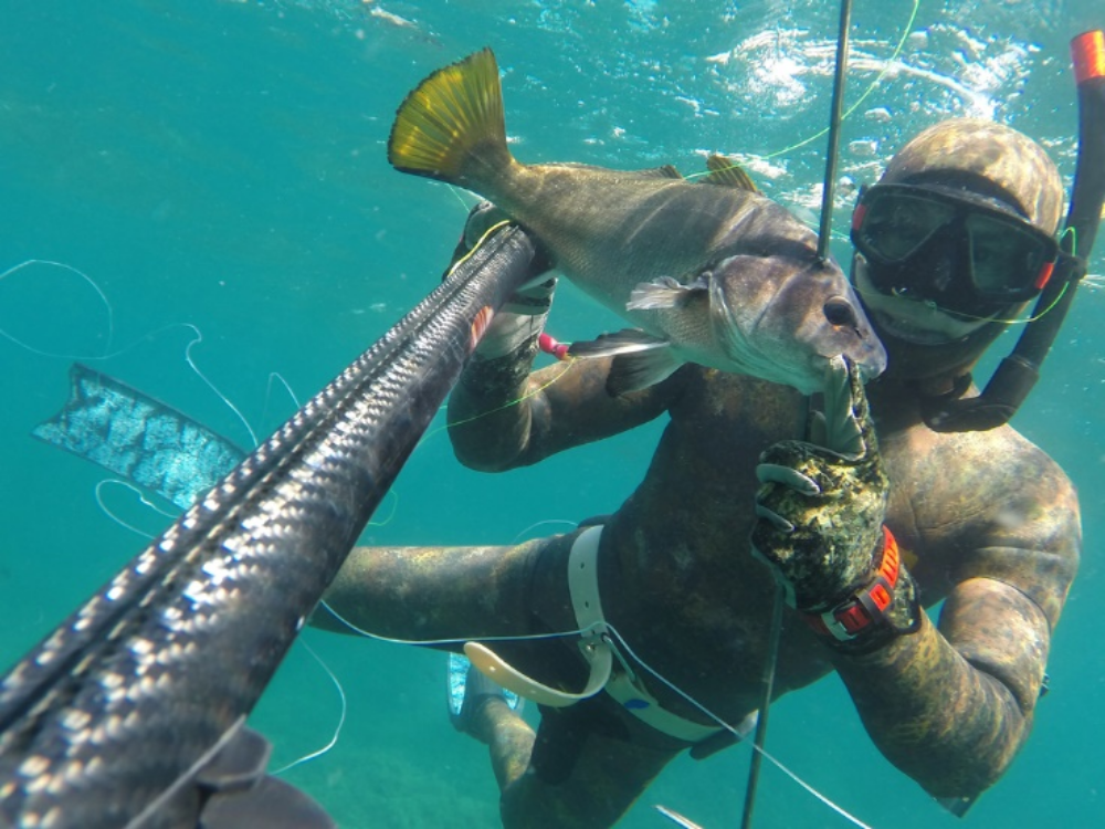 What is Spearfishing? Let's Get To Know More Here!