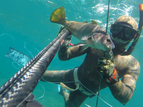 Apa itu Spearfishing? Yuk Kenali Lebih Dalam Olahraga ini Disini!