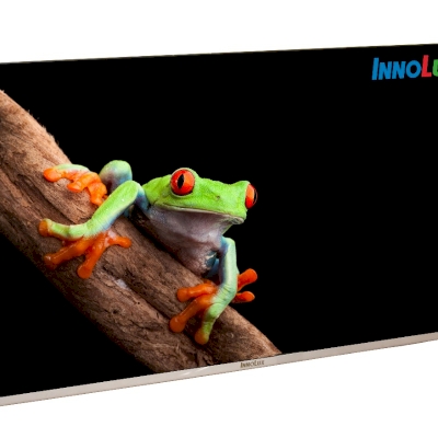 INNOLUX 31.5" 4K Megazone Professional Gaming Display [M315DCM-E70]
