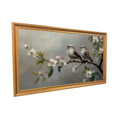 Innolux Echo InnoGallery S850DJJ-D02